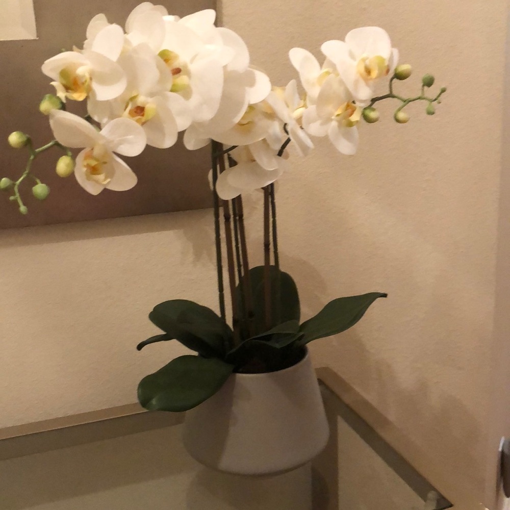 Meet your Posher, Marisela